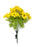 Cosmos Daisy 22 Flower Head Bush - Yellow