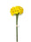 3 Stem Yellow Daffodil Bundle x 40cm