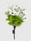 Cosmos Daisy 22 Flower Head Bush - White
