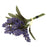 Small Bundle of Lavender with 7 stems ,Raffia Tied x 17cm
