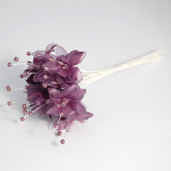 Babies Breath Spray Aubergine 12 Stems