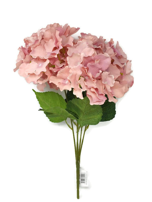 Dusky Pink Hydrangea Bush x 45cm