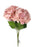 Dusky Pink Hydrangea Bush x 45cm