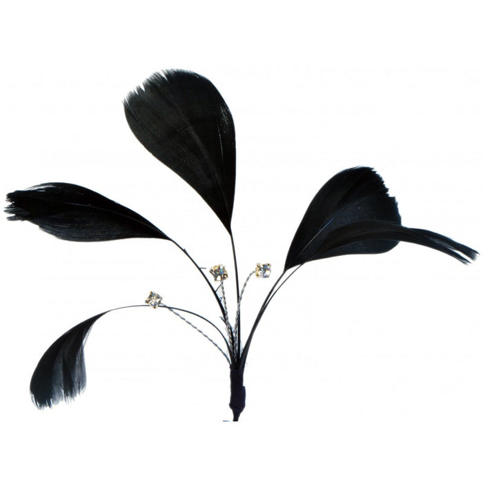 Tweetie Feather Spray Accents  With Diamante 