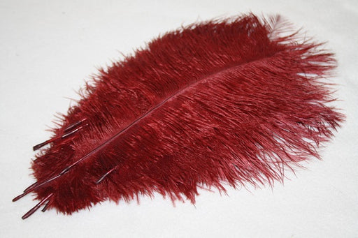 10 ostrich feathers burgundy 