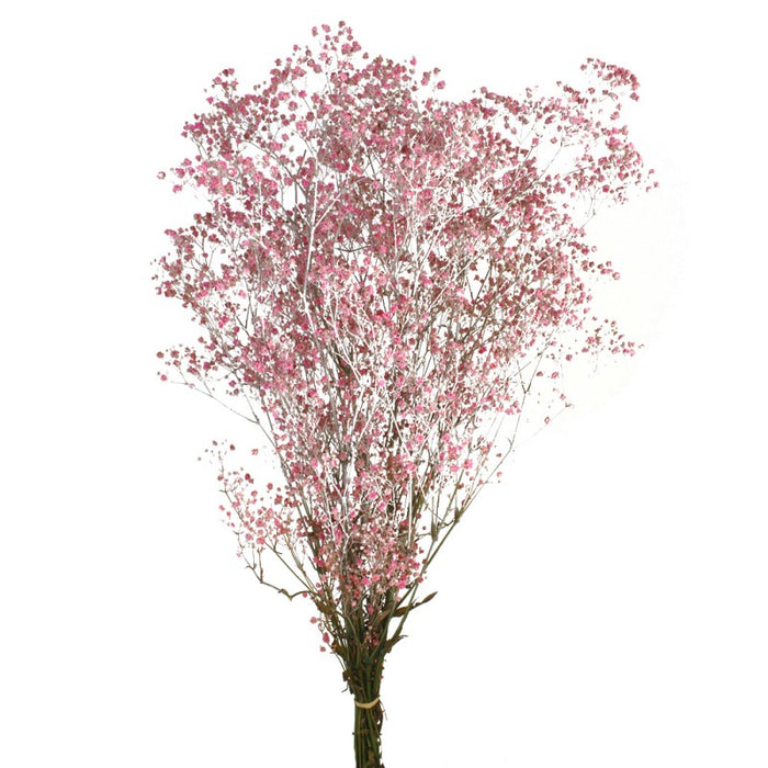 Preserved Gypsophila - Dusky Pink x 60cm long -100g per pack