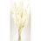 Natural Dried Palm Spear 50cm tall - 10pcs per pk - White