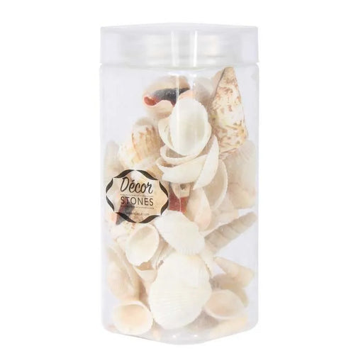 Sea Shells Mixed in Jar (250gr)