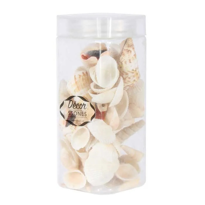 Sea Shells Mixed in Jar (250gr)