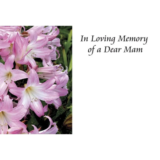 In Loving Memory of a Dear MAM