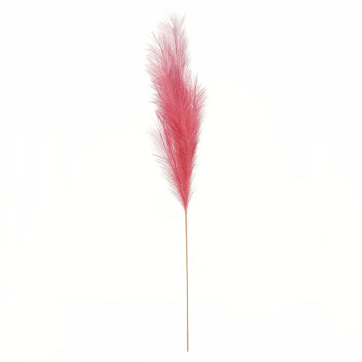 Pink Pampas x 15 Heads