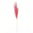 Pink Pampas x 15 Heads