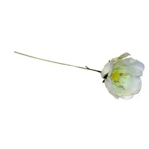 Single Stem Old Fashioned Rose x 7inch - Box of 100