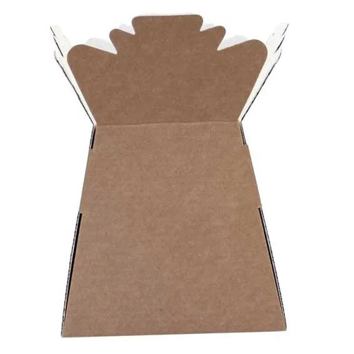 Single Natural Kraft  Living Vase