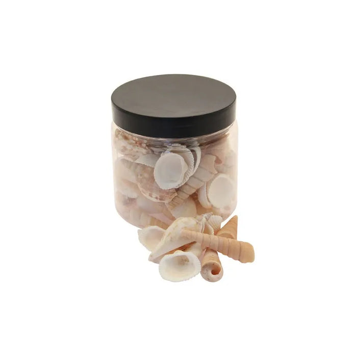 250g Mixed Natural Sea Shells in Jar
