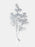 Glittered Tall Fern Spray x 72cm - Silver