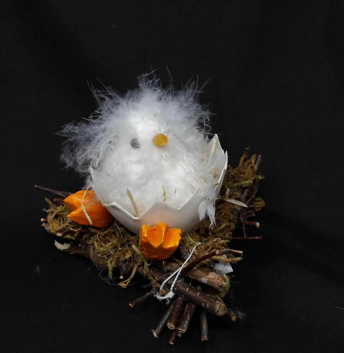 Fluffy Easter Chick on Egg Shell