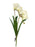 Freesia Spray x 55cm - White