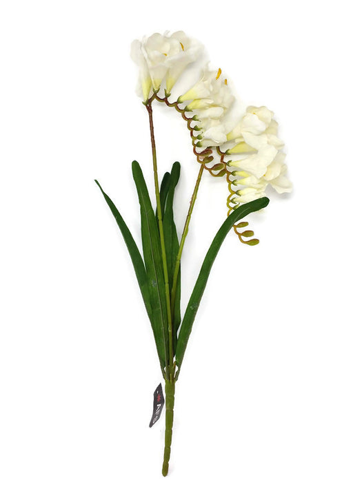 Freesia Spray x 55cm - White