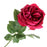 Garden Rose - Cerise x 60cm