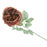 Garden Rose - Burnt Orange x 60cm