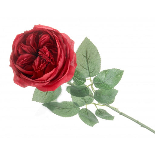 Garden Rose - Red x 60cm Long
