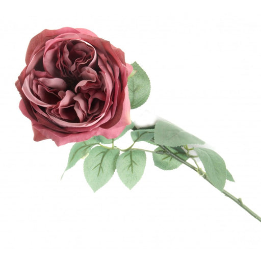 50cm Single Stem Garden Rose - Dusky Pink