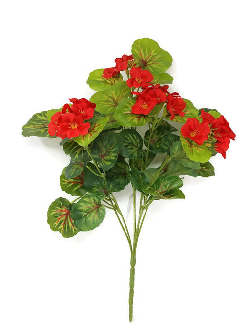 Red Geranium Bush x 42cm