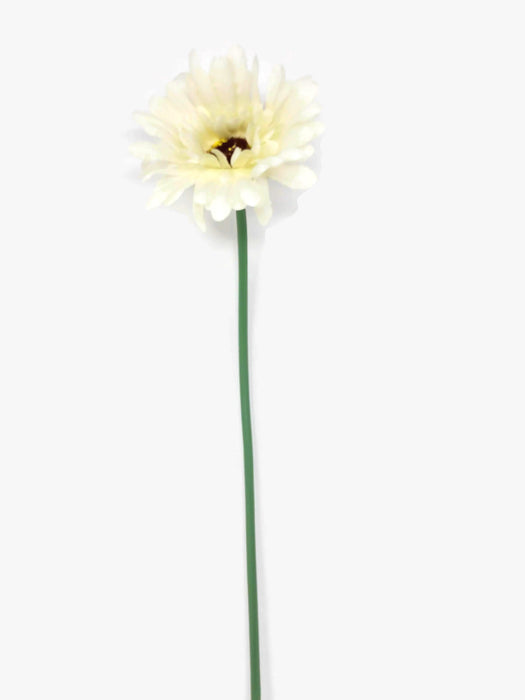 Single Stem Gerbera x 53cm - Ivory