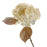 Glittered Single Hydrangea - 45cm long, 18cm diameter - Cream