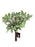 Glitter Mistletoe Wired Stem Bundle x 23cm