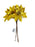 7 Stem Glitter Centre Poinsettia Bundle x 25cm - Gold