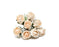 8 Head Foam Rose Bud Bunch - Ice Peach