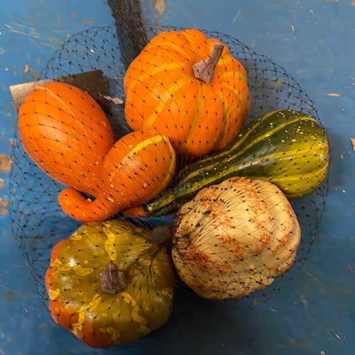 Net Of Assorted Pumpkins