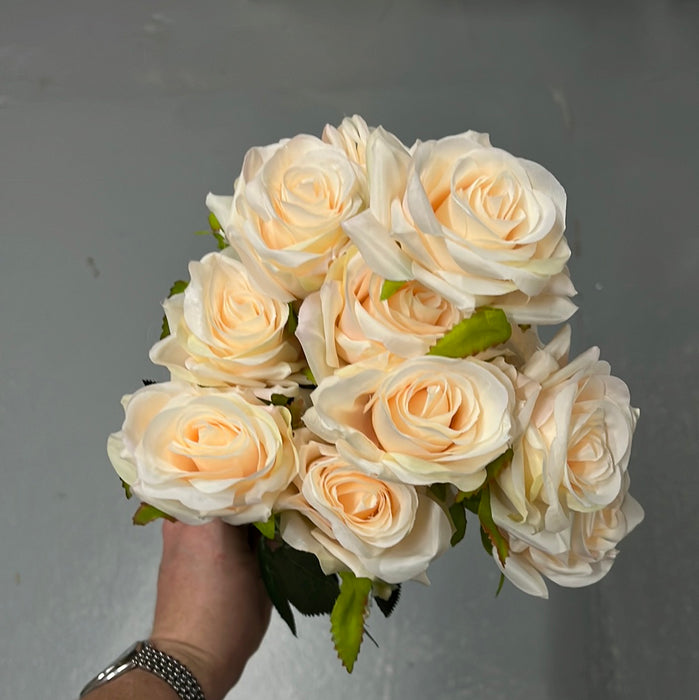 12 Head Rose Bush x 36cm - Apricot Cream