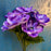 7 Head Anemone Bush x 28cm - Purple