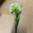 Single Stem Allium - White