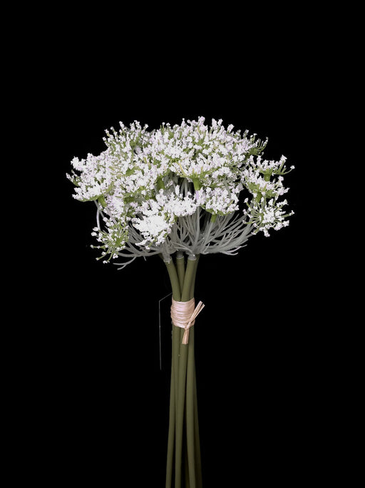 7 Head Queen Ann's Lace Bunch x 27cm
