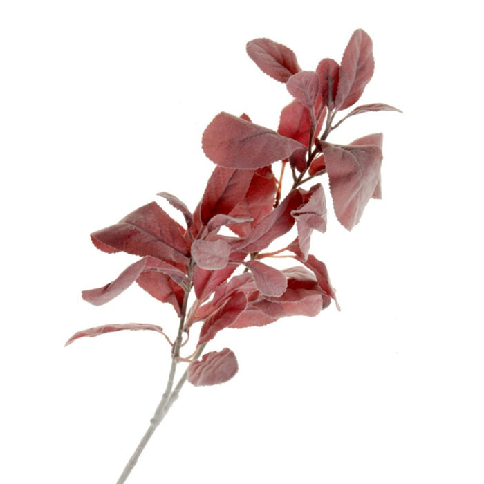 Lambs Ear Spray  x 72cm - Burgundy