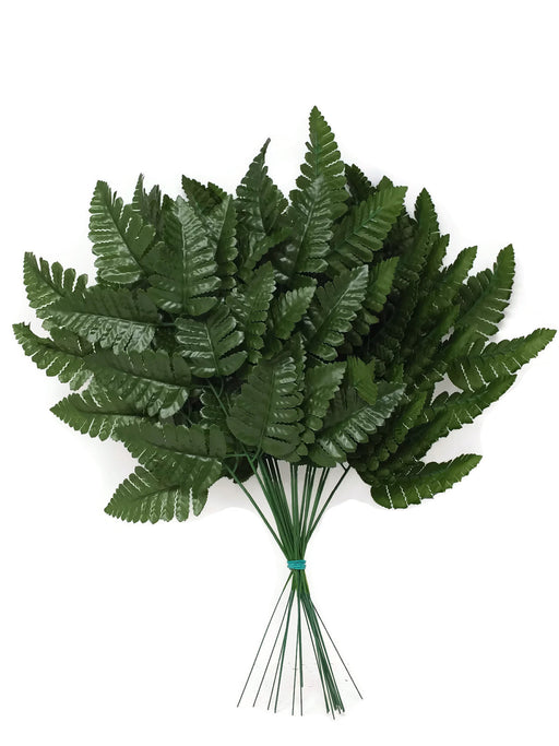 Leather Fern x 20 Stems - 45cm