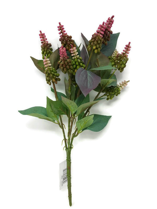 Miniature Lupin Flower Bush x 34cm - Pink