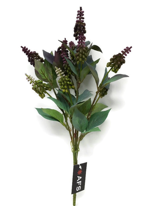 Miniature Lupin Flower Bush x 34cm - Purple
