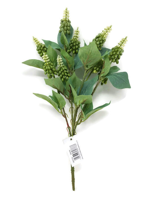 Miniature Lupin Flower Bush x 34cm - White