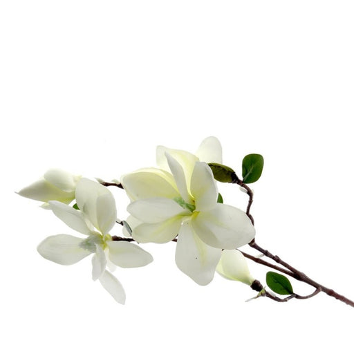 Cream Magnolia Spray x 85cm length