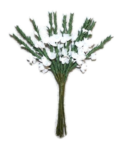 Single Spray of White Heather