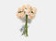 12 Miniature Foam Roses - Ice Peach