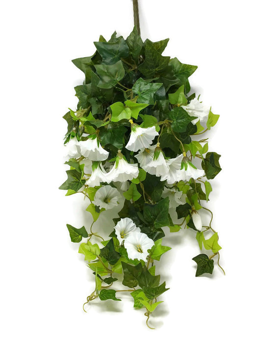 Trailing Morning Glory x 64cm - White