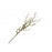 Mossed Willow Spray - Natural (90cm long)