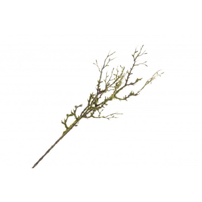 Mossed Willow Spray - Natural (90cm long)