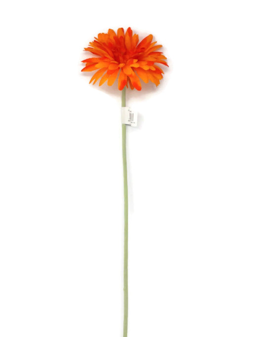 Single Stem Gerbera x 50cm - Orange